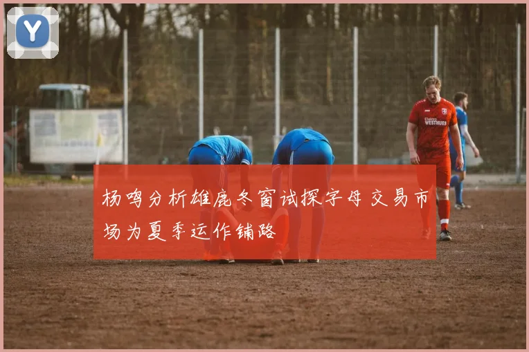 杨鸣分析雄鹿冬窗试探字母交易市场为夏季运作铺路